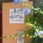 Residenza Butterfly Iun R6379